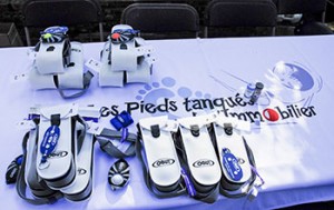 Pieds Tanqués de l’Immobilier 2014