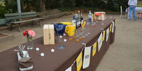 UNIS pétanque tour paris