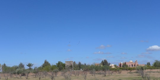 Pétanque Marrakech 2017 Villa Taj