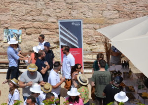 UNIS PÉTANQUE TOUR MARSEILLE - Mai 2022