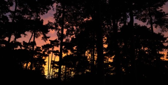 Trophée GTA le 23 juin 2022 dans le Bois de Boulogne