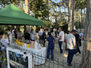 Pieds Tanques de l’immobilier 16 juin 2026